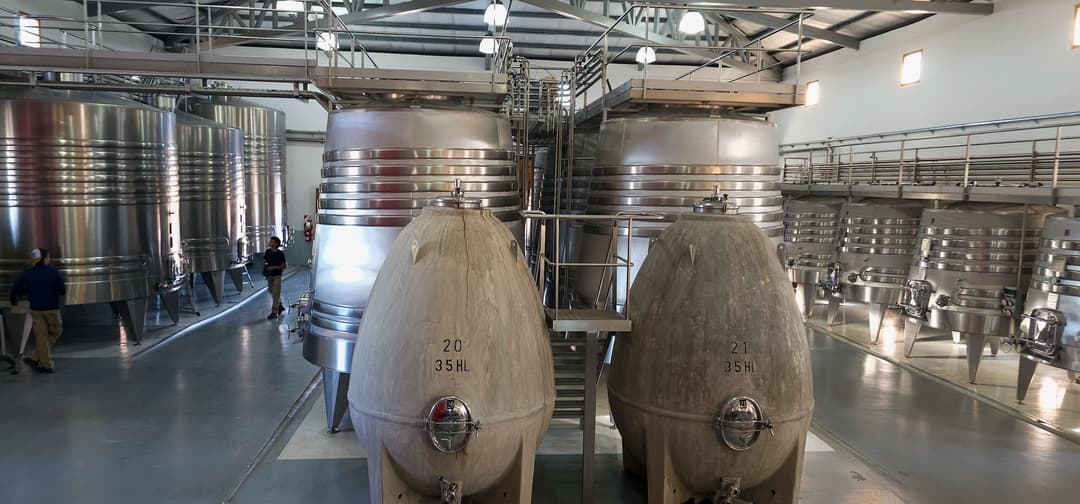 Vista frontal simétrica de dos huevos de hormigón para fermentación de vino