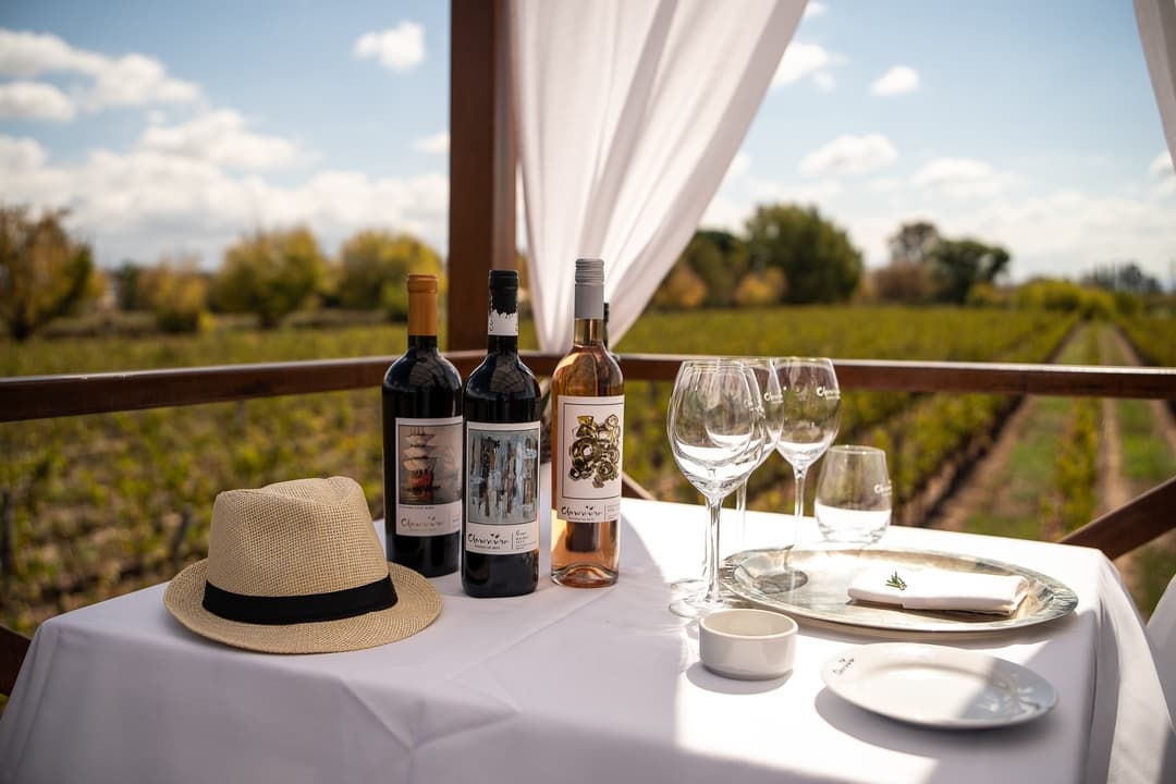 Botellas de vino sobre una mesa en el deck de la bodega con vista a los viñedos